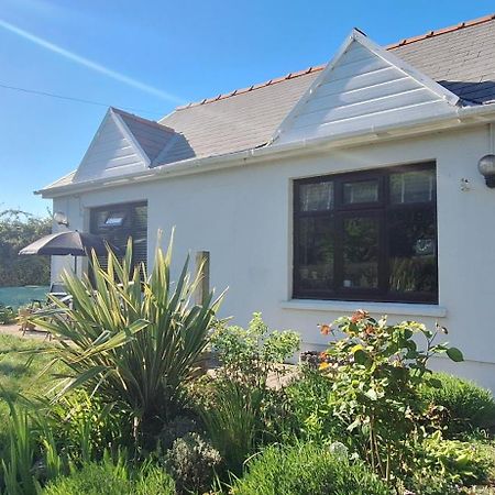 Y Cuddfan Gower Bed and Breakfast Σουόνσι Εξωτερικό φωτογραφία