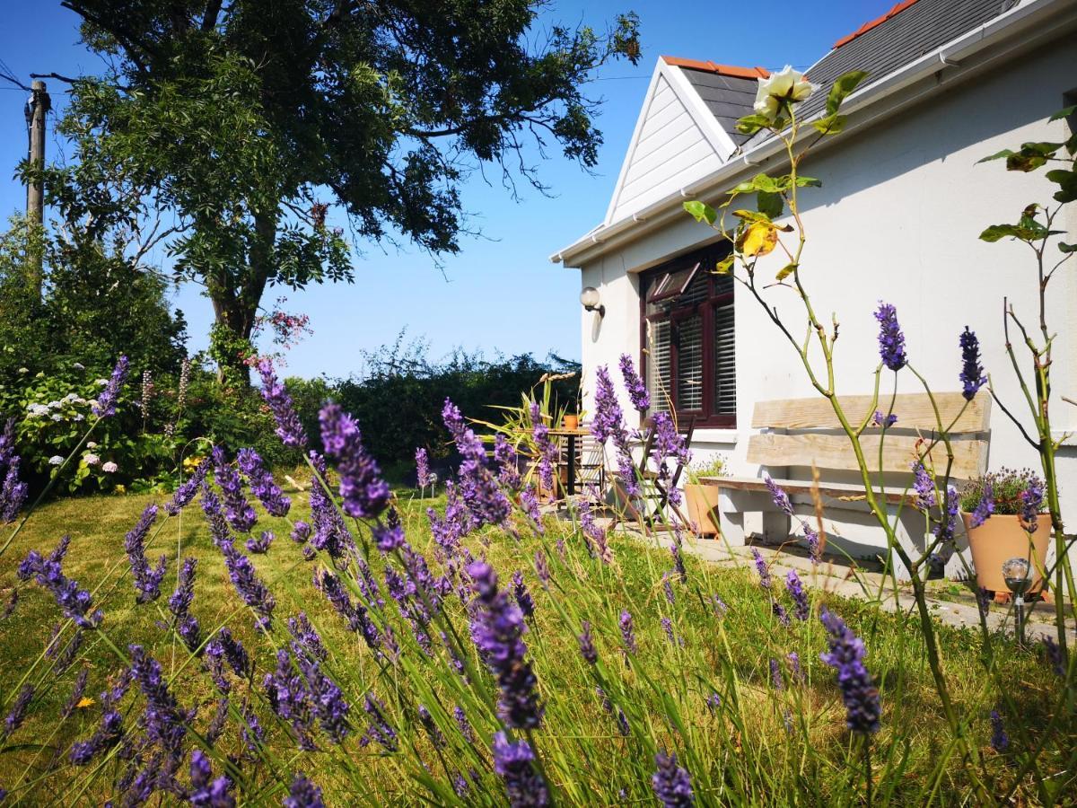 Y Cuddfan Gower Bed and Breakfast Σουόνσι Εξωτερικό φωτογραφία