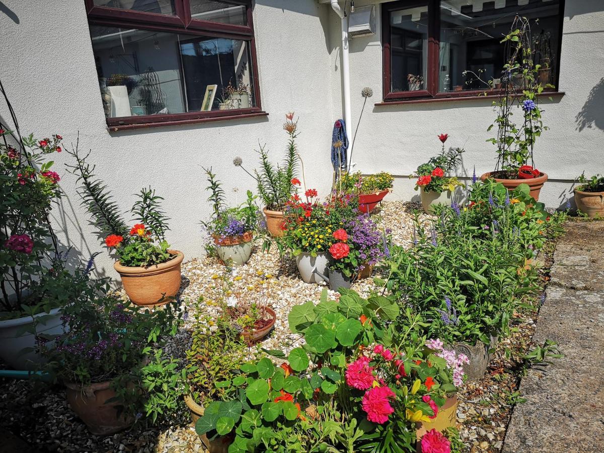 Y Cuddfan Gower Bed and Breakfast Σουόνσι Εξωτερικό φωτογραφία